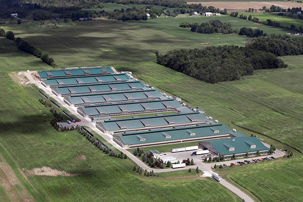 南京ギレログループ株式会社